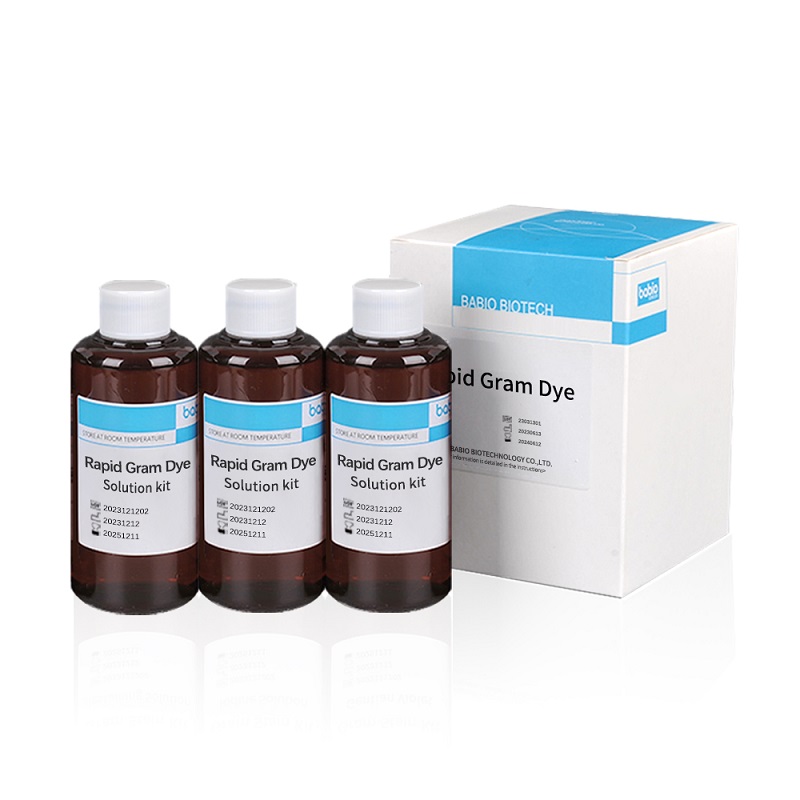 Rapid Gram Dye Solution-sett